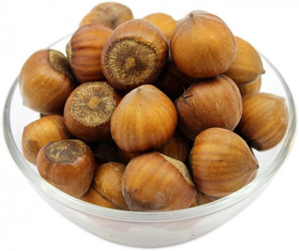 hazelnuts in shell