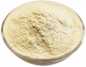 organic garlic powder