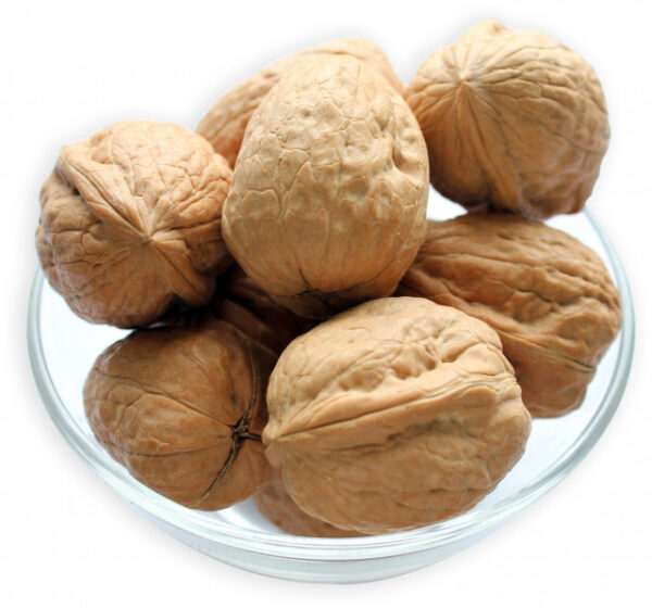 walnuts in shell